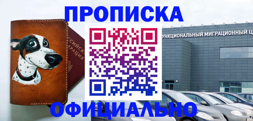 временная прописка в Бабаево